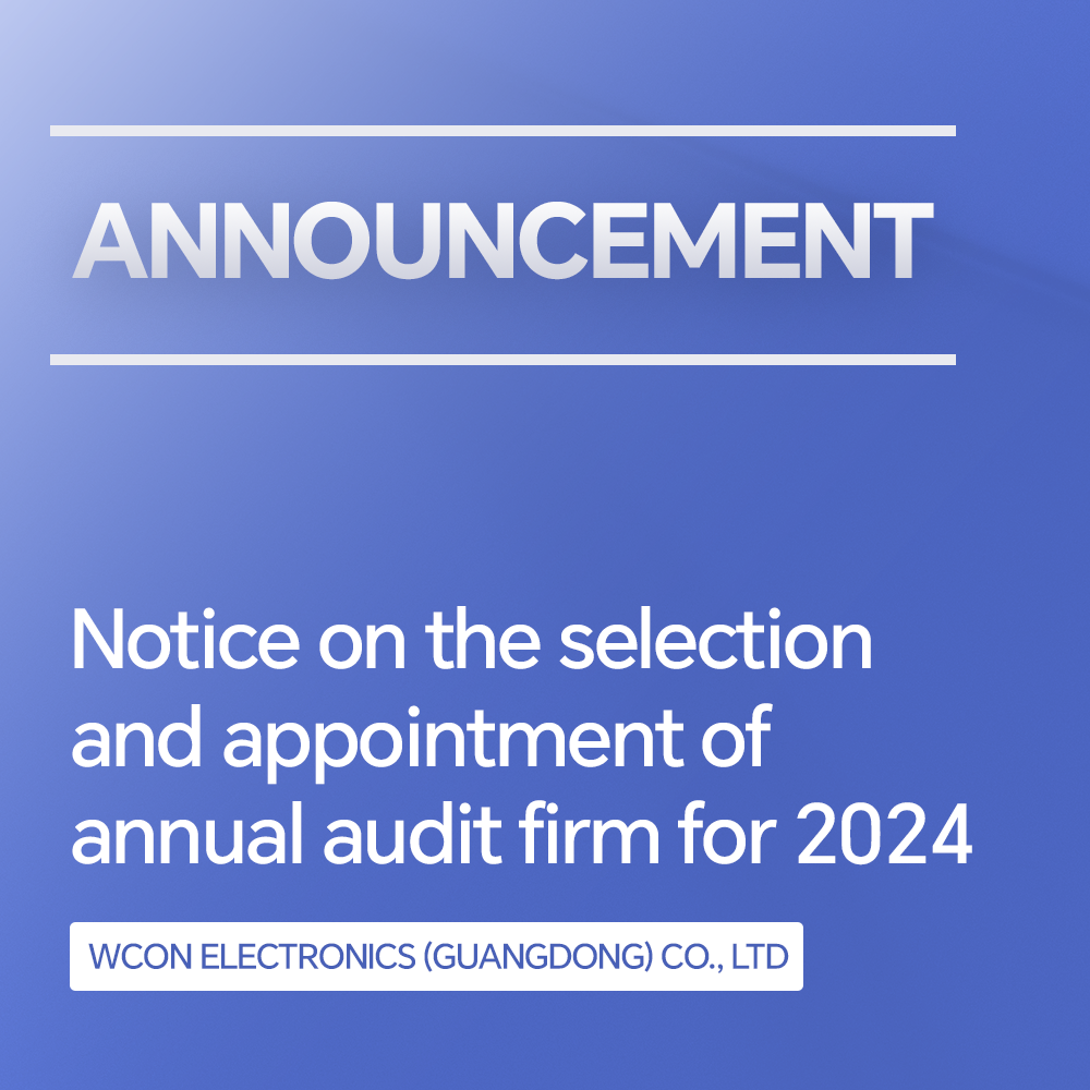 關(guān)于遴選及聘任2024年度審計師事務(wù)所的通知